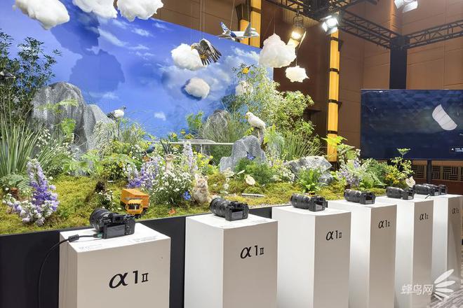聚焦索尼A1M2与新镜头的创新发展爱游戏入口索尼秋季媒体交流会专访