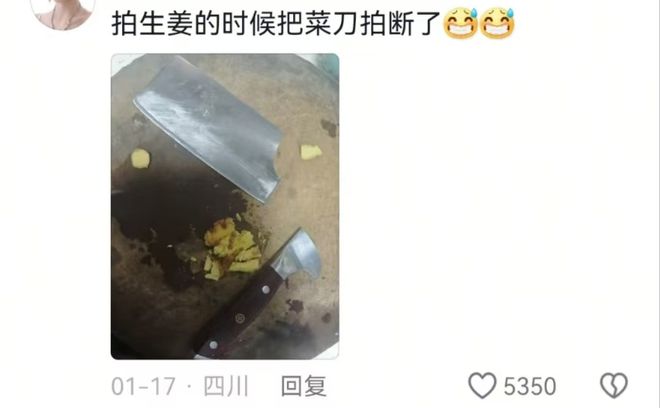 大祸！网友：这些东西硬撑着等我回来陷害我爱游戏app体育00后回家过年能闯出多(图5)