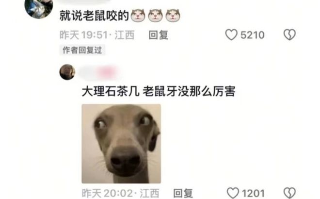 大祸！网友：这些东西硬撑着等我回来陷害我爱游戏app体育00后回家过年能闯出多(图3)