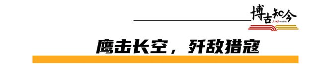 曾振翅神州：苏联援华航空队的抗战传奇爱游戏app网站手机版“红色战鹰”(图7)